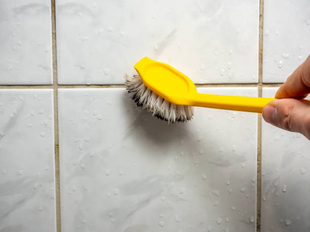 Best Mold Damage Repair  in Hazel Green, AL