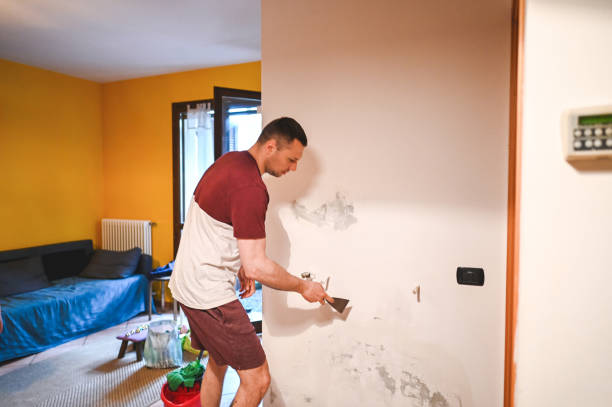 Best Black Mold Removal  in Hazel Green, AL